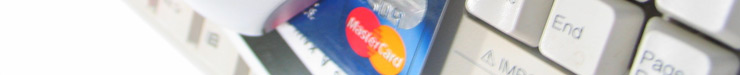 Electronic Merchant Systems Web Hosting Login
